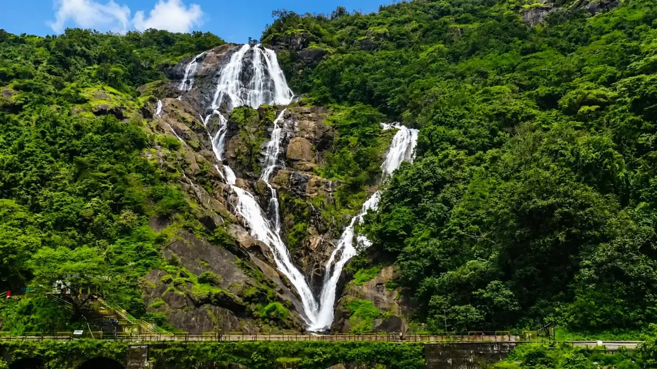 Dudhsagar Waterfall Trek