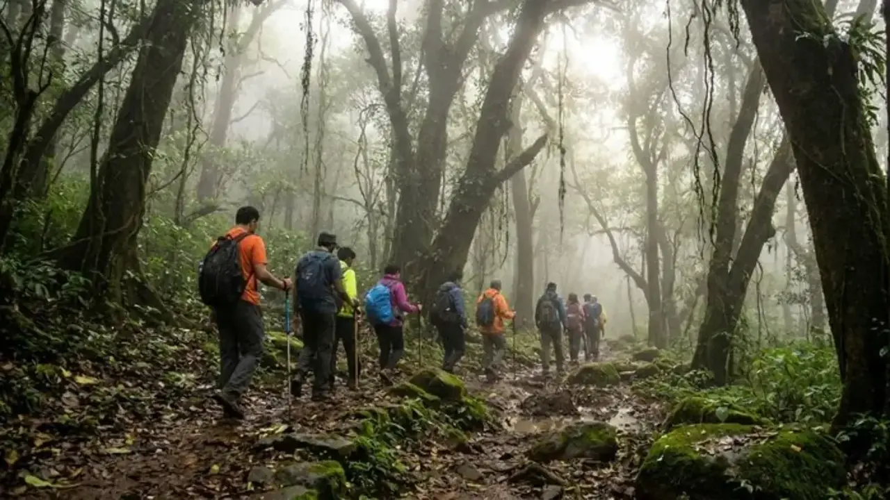 Andharban Jungle Trek