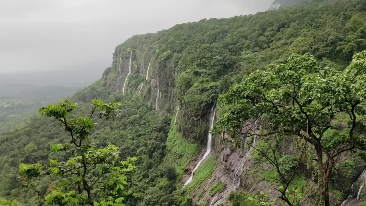 Bhimashankar Jungle Trek