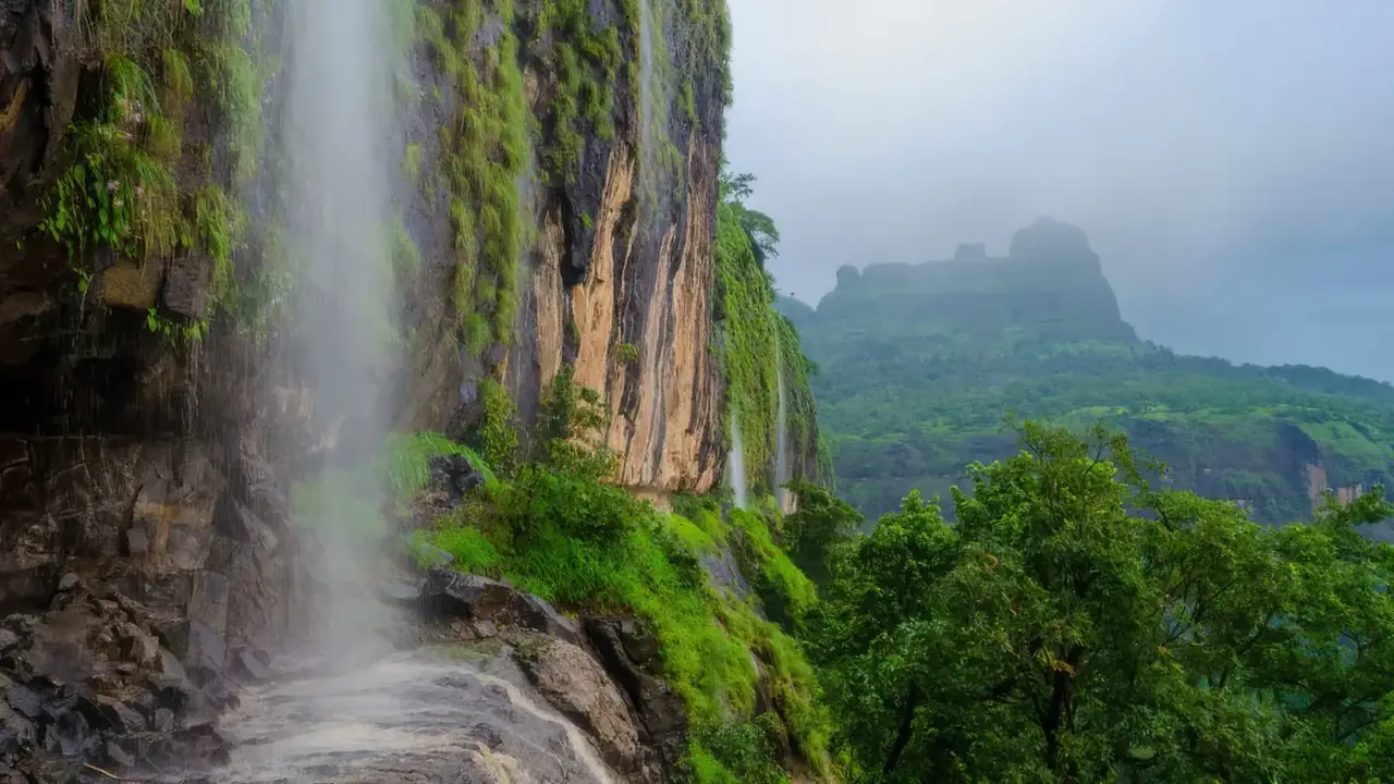 Bhimashankar Trek